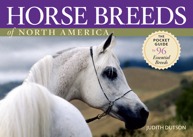 Horse Breeds